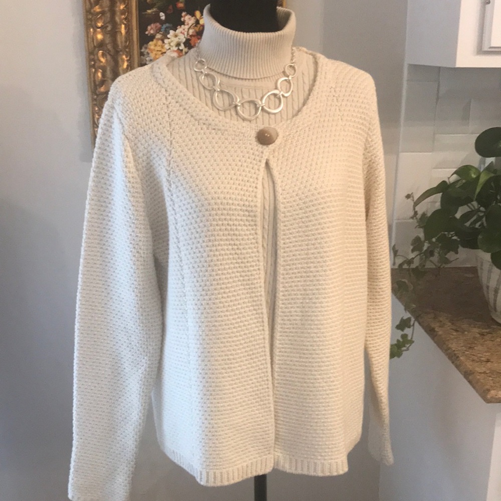 Adrienne Vittadini Knitted Sweater